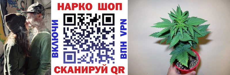 Где найти наркотики Павловск Конопля  Cocaine  A-PVP  АМФЕТАМИН  МЕТАДОН  Меф 