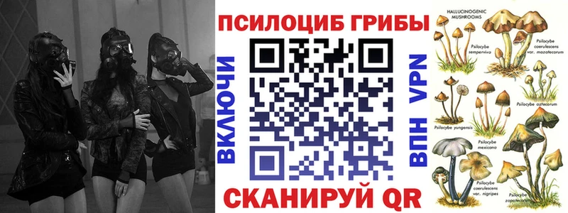 Галлюциногенные грибы Psilocybine cubensis  что такое   Павловск 